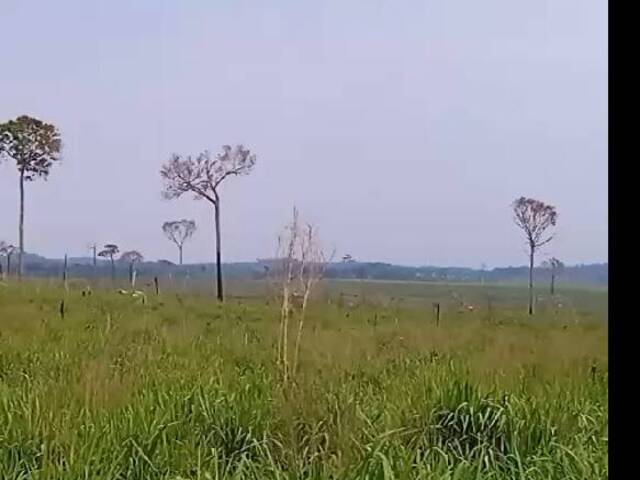 #2813 - Fazenda para Venda em Alta Floresta - MT - 2