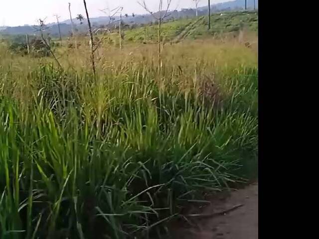 Fazenda para Venda em Alta Floresta - 4