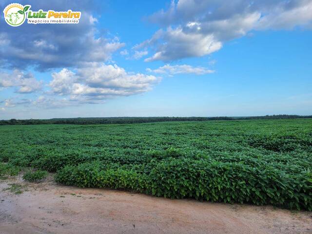 #2814 - Fazenda para Venda em São Benedito do Rio Preto - MA