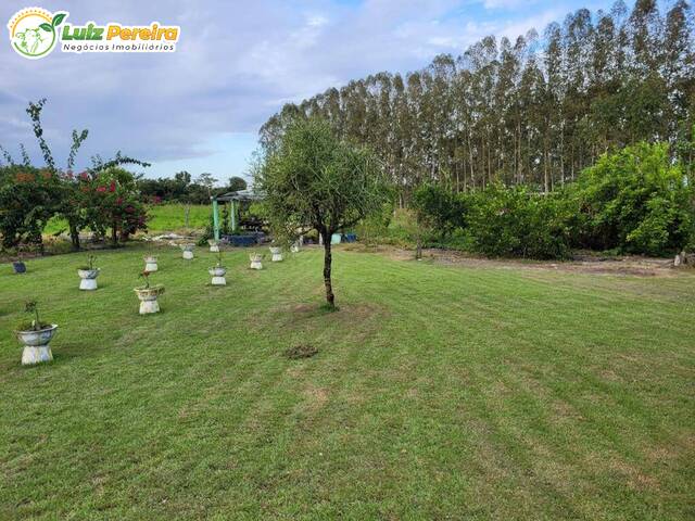 Fazenda para Venda em São Benedito do Rio Preto - 5