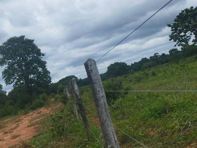 Fazenda para Venda em Dois Irmãos do Tocantins - 5