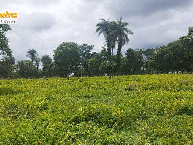 #2815 - Fazenda para Venda em Dois Irmãos do Tocantins - TO - 3