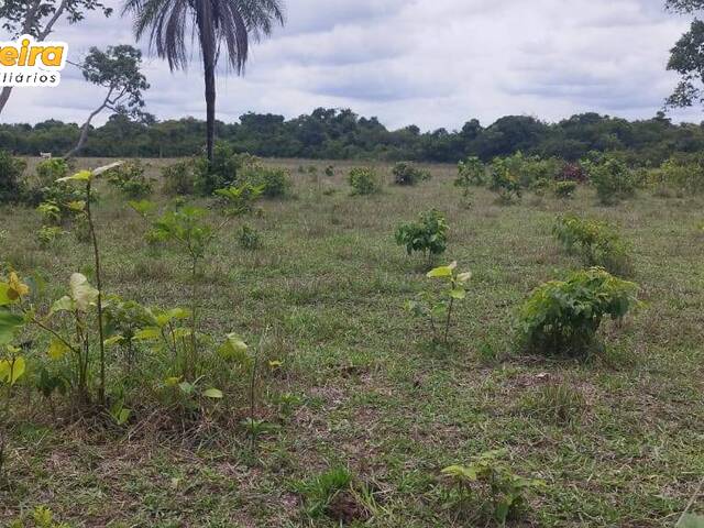 #2815 - Fazenda para Venda em Dois Irmãos do Tocantins - TO - 1