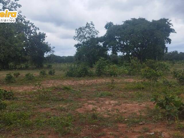 Fazenda para Venda em Dois Irmãos do Tocantins - 4