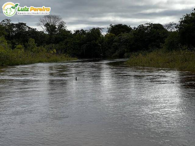 Fazenda para Venda em Ribas do Rio Pardo - 5