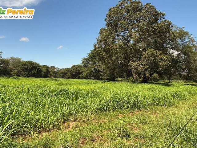 #2817 - Fazenda para Venda em Ribas do Rio Pardo - MS - 2