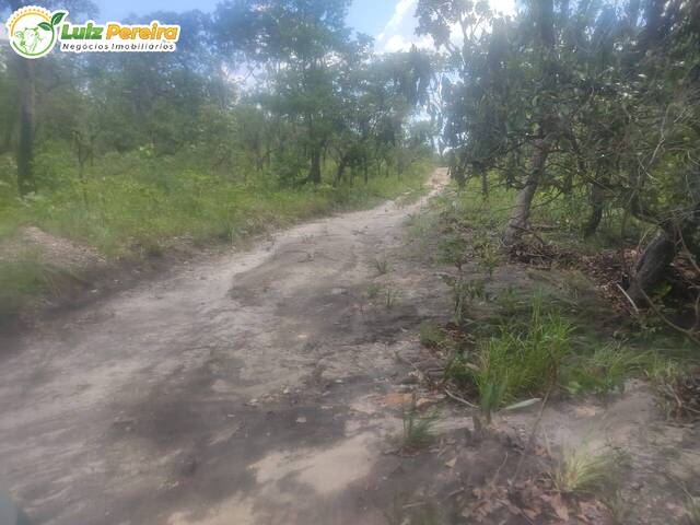 Fazenda para Venda em Pindorama do Tocantins - 4