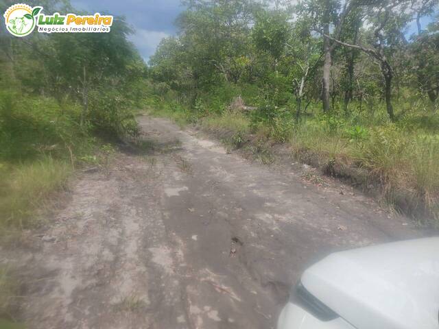 Fazenda para Venda em Pindorama do Tocantins - 5