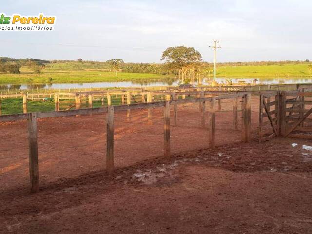 Chácara para Venda em Balsas - 5