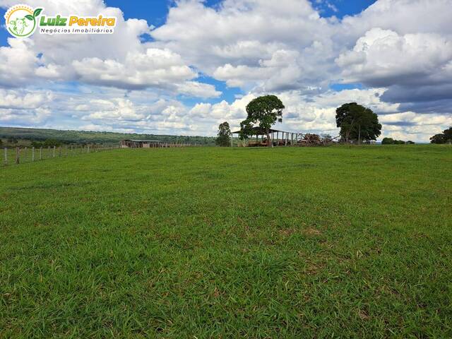 #2820 - Fazenda para Venda em Rio Verde de Mato Grosso - MS - 2