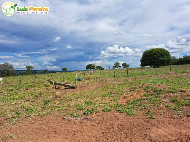 #2820 - Fazenda para Venda em Rio Verde de Mato Grosso - MS - 3