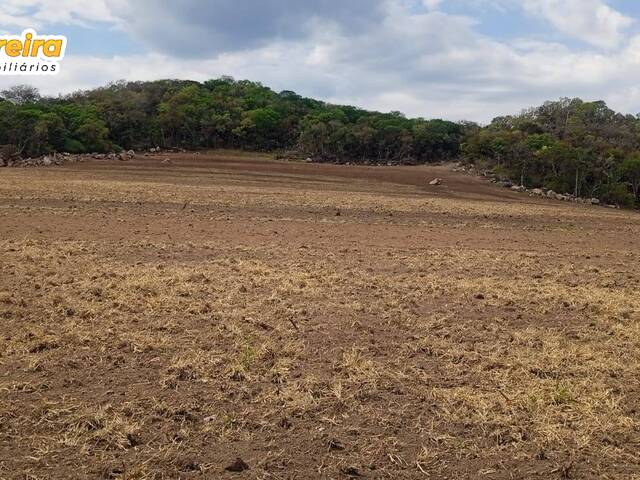 Fazenda para Venda em Bonito - 5