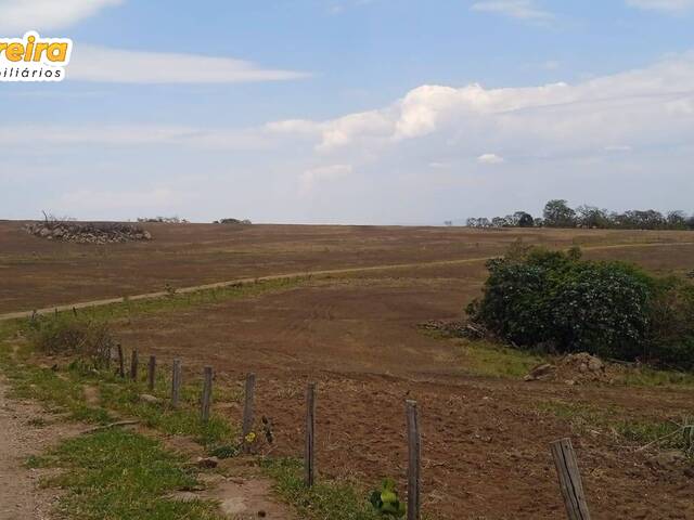 Venda em AMÉRICA - Bonito