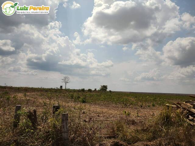 #2822 - Fazenda para Venda em Buriticupu - MA - 3