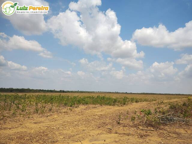 #2822 - Fazenda para Venda em Buriticupu - MA - 1