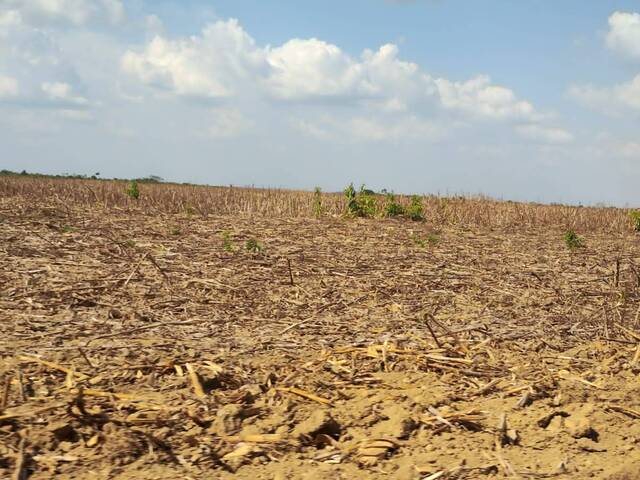 Fazenda para Venda em Buriticupu - 4