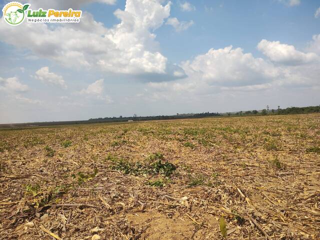 Fazenda para Venda em Buriticupu - 5