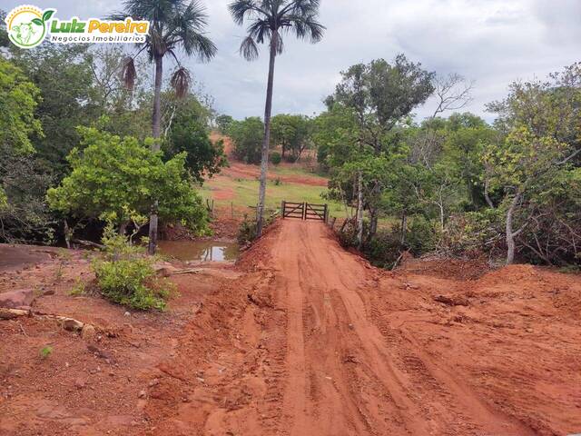 Chácara para Venda em Aquidauana - 4