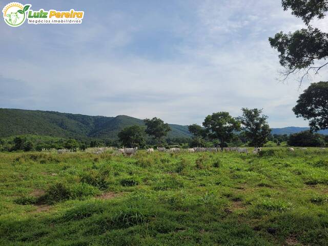 #2824 - Fazenda para Venda em Acorizal - MT - 1