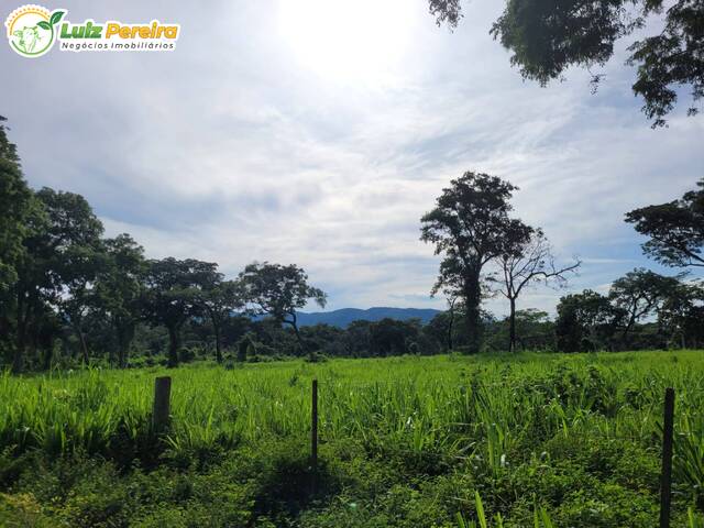 #2824 - Fazenda para Venda em Acorizal - MT - 3