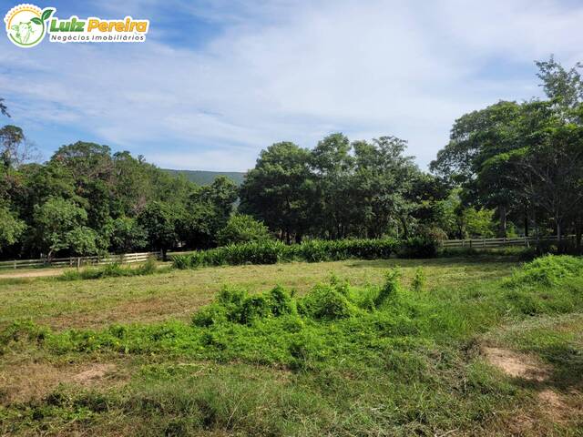 Fazenda para Venda em Acorizal - 5