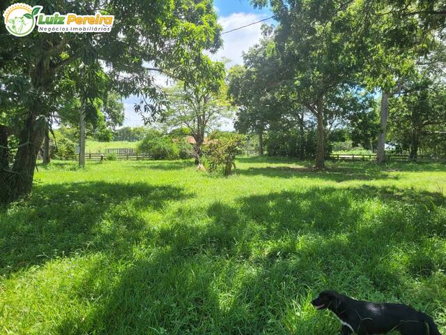 Fazenda para Venda em Acorizal - 4