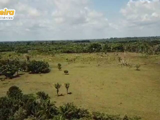 #2825 - Fazenda para Venda em Baião - PA - 3