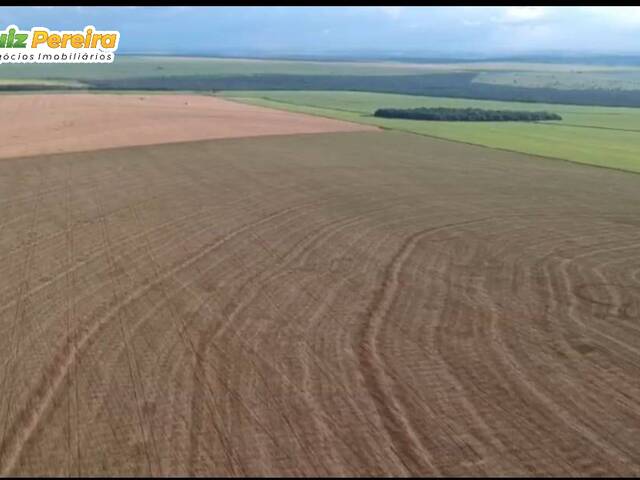 #2826 - Fazenda para Venda em Chapadão do Sul - MS