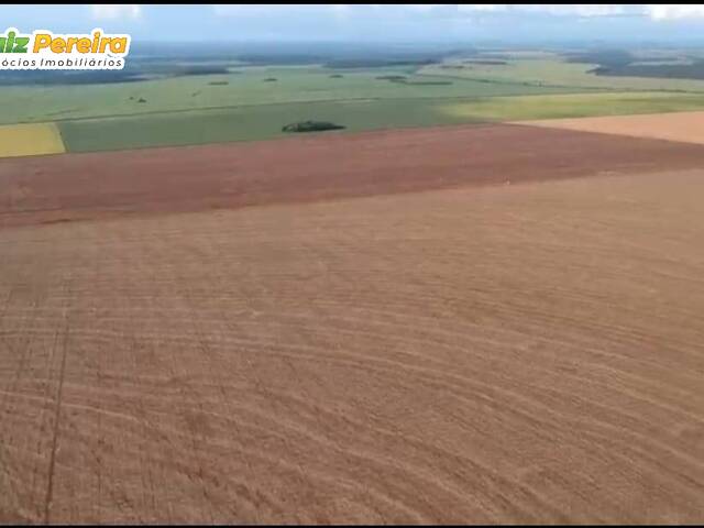 #2826 - Fazenda para Venda em Chapadão do Sul - MS - 3