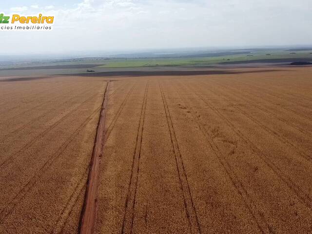 Fazenda para Venda em Chapadão do Sul - 5