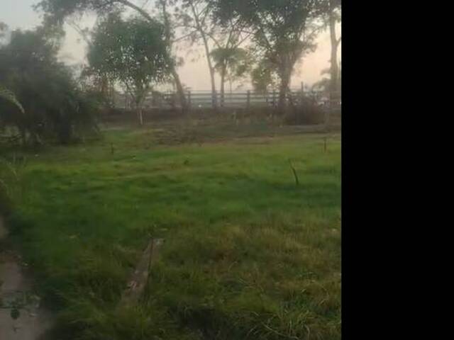 Fazenda para Venda em Alto Parnaíba - 5
