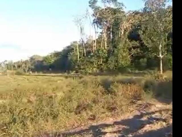 #2827 - Fazenda para Venda em Alto Parnaíba - MA