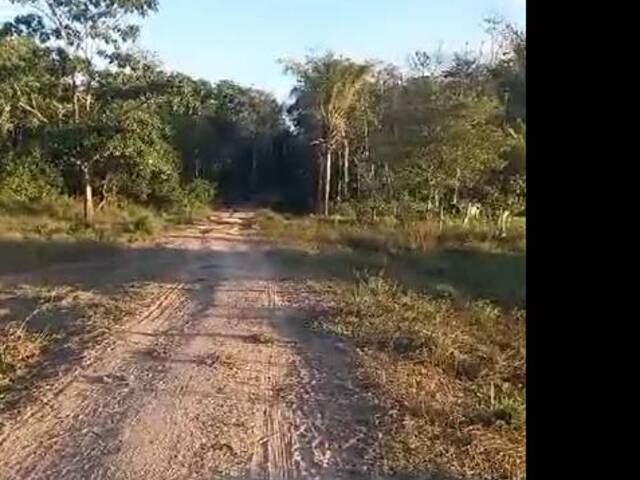 Fazenda para Venda em Alto Parnaíba - 4