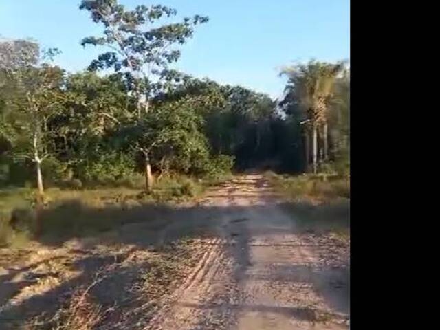 #2827 - Fazenda para Venda em Alto Parnaíba - MA - 3