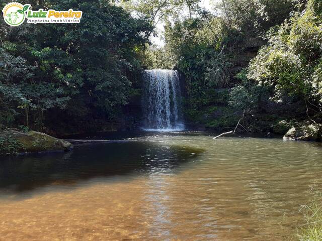 #2829 - Fazenda para Venda em Santa Maria das Barreiras - PA - 1