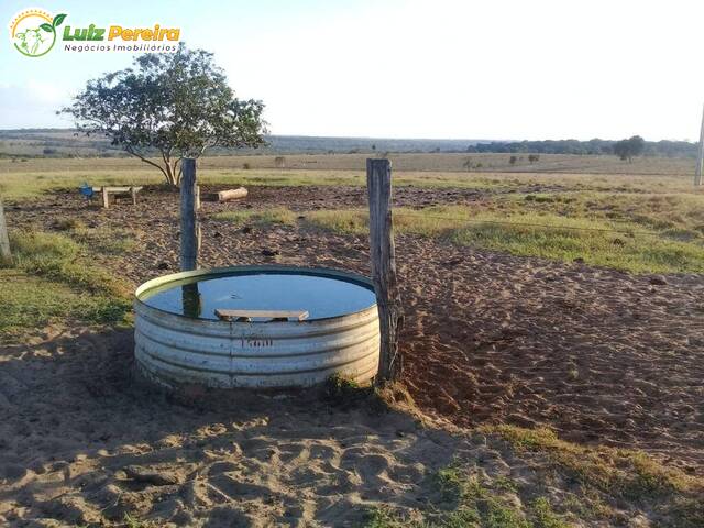 #2830 - Fazenda para Venda em Alcinópolis - MS - 2