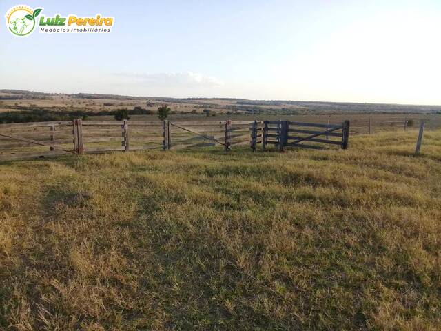 #2830 - Fazenda para Venda em Alcinópolis - MS