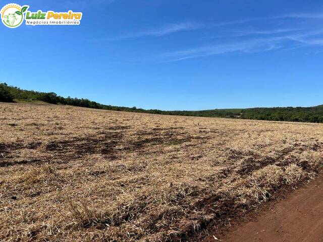 #2831 - Fazenda para Venda em Sidrolândia - MS - 3