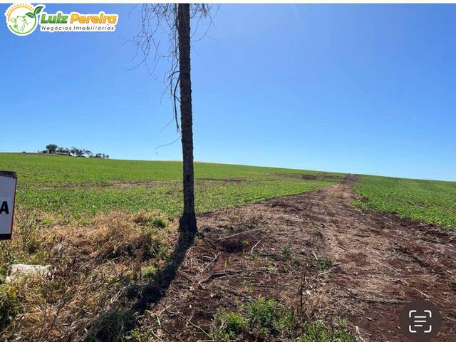 Fazenda para Venda em Sidrolândia - 4