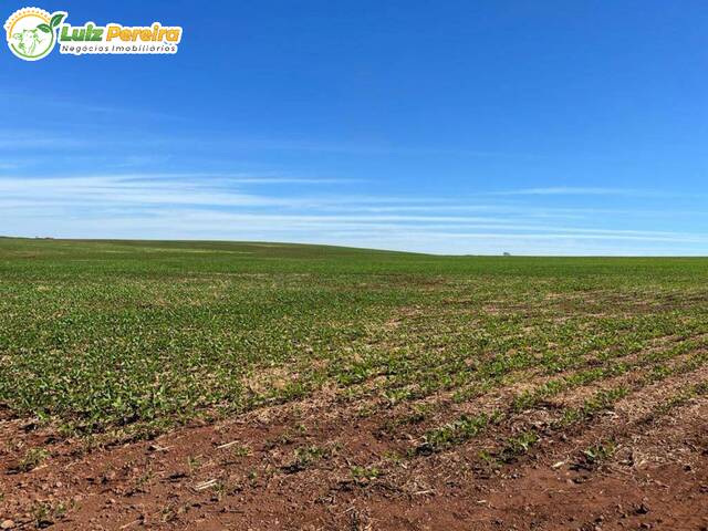 #2831 - Fazenda para Venda em Sidrolândia - MS