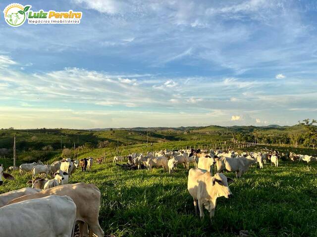Fazenda para Venda em Jacundá - 5