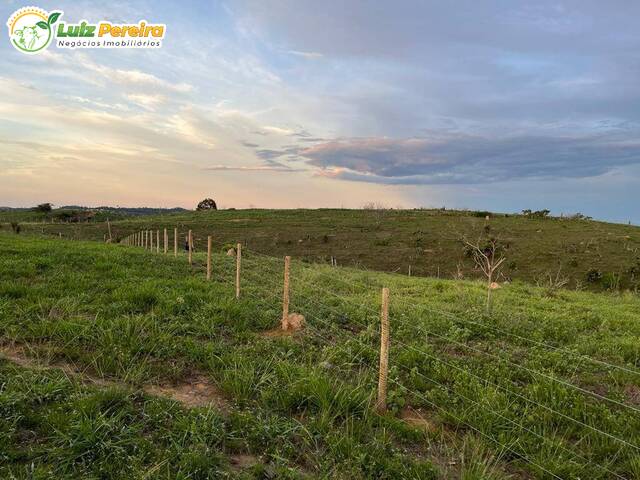 Fazenda para Venda em Jacundá - 4