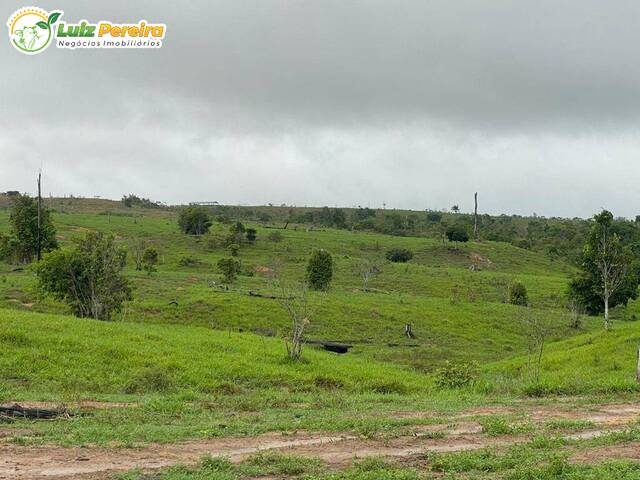 #2832 - Fazenda para Venda em Jacundá - PA - 3