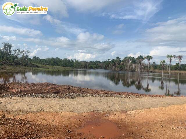 Fazenda para Venda em Goiatins - 4
