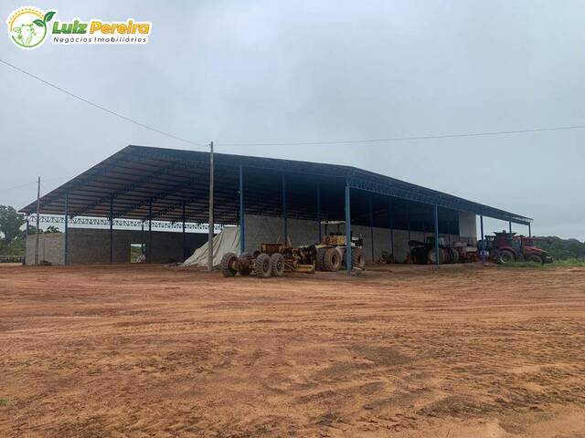 Fazenda para Venda em Goiatins - 5