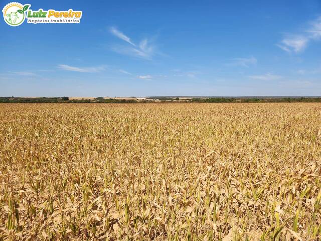 #2835 - Fazenda para Venda em Gaúcha do Norte - MT - 1