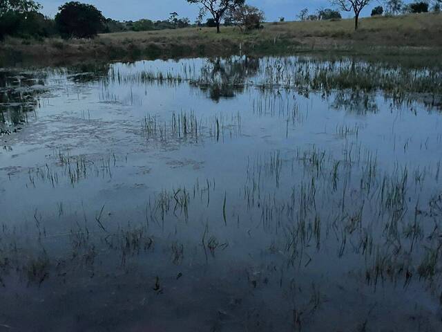 Fazenda para Venda em Inocência - 4