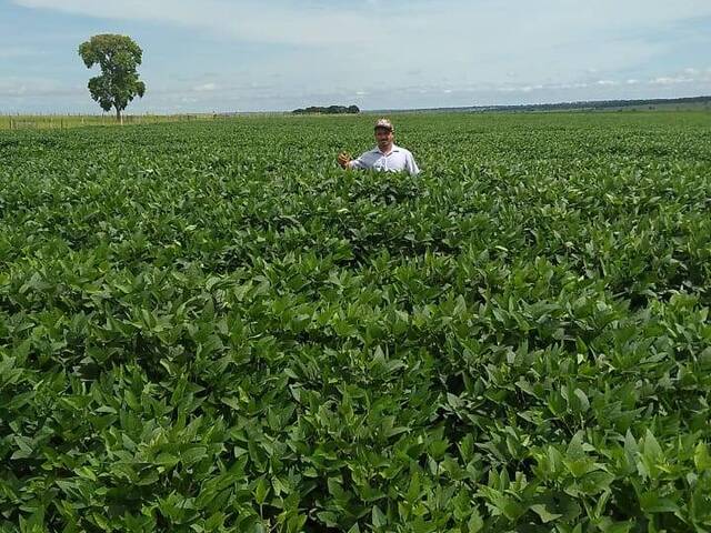 #2836 - Fazenda para Venda em Inocência - MS - 3