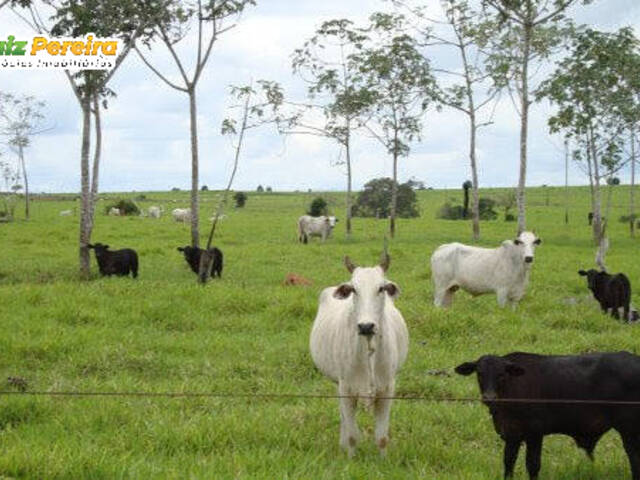 #2839 - Fazenda para Venda em Alto Boa Vista - MT - 3