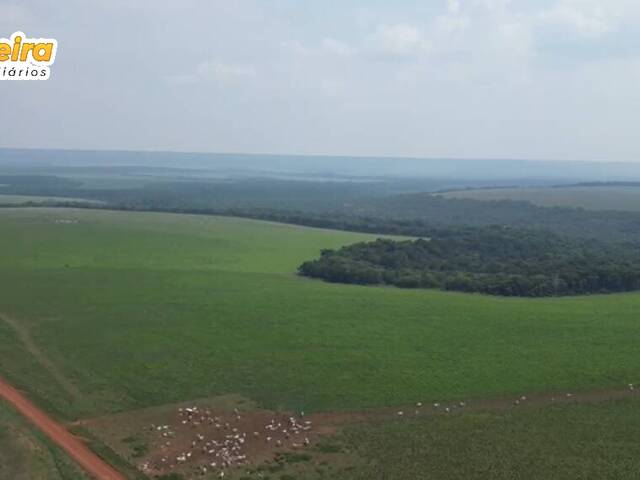Fazenda para Venda em Nova Mutum - 5